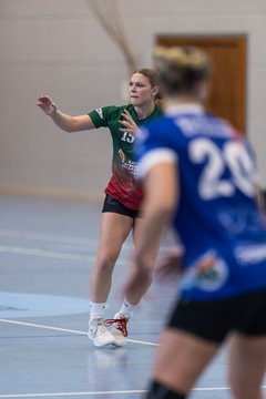 Bild 245 - F HSG Kremperheide/Muensterdorf - HSG Holstein Kiel/Kronshagen : Ergebnis: 31:26